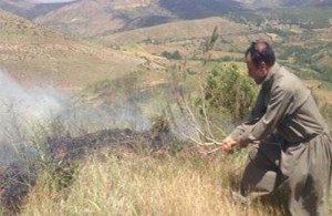 500x325x20638.jpg.pagespeed.ic.EM6KKw0P0T