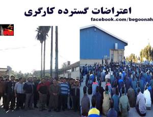 10252000_322716251221954_3958764831597786887_n