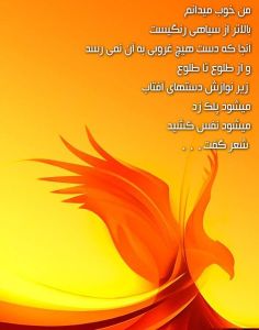 10488165_671139012962069_7513738659562745166_n