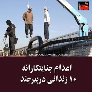 10514701_321683087991937_4208664678591356293_n