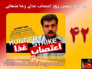 10522159_696694870366067_641316530_n