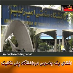 10524419_285238984992443_723562856_n