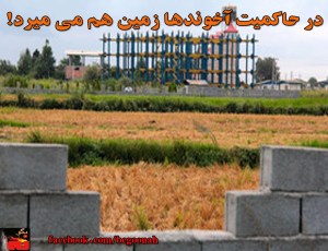 10550292_294363917413283_1291305632_o