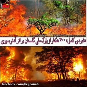 10551986_287563274760014_2058890579_n