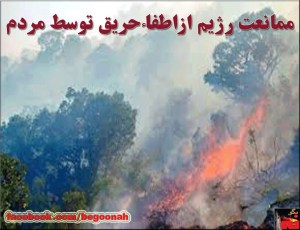 10558735_292346700948338_271023314_o