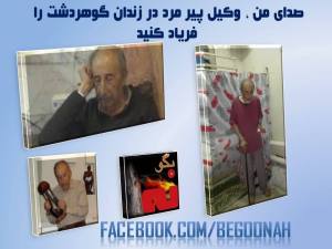 10563605_699273240108230_1605276262_n