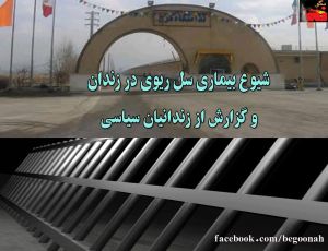 10588482_293298394186502_1687776820_o