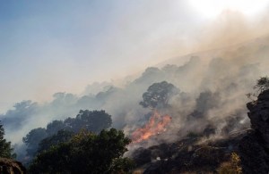 500x325x21074.jpg.pagespeed.ic.BI5NBN9iq_