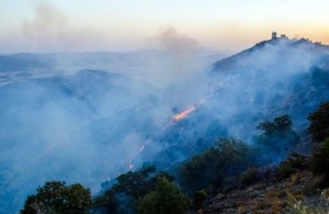 500x325x21075.jpg.pagespeed.ic.4trtgmaa_j