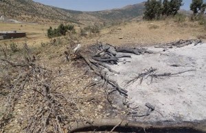 500x325x21077.jpg.pagespeed.ic.RV8Qaf7jAq