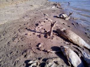 j2m7u671f7vsx2ylkgda