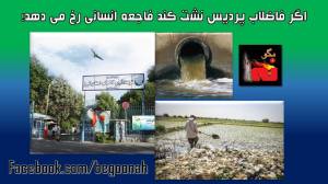 10498043_329540967206149_1487812643277472556_o