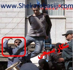 10550987_824862567558623_3208220808364021089_n