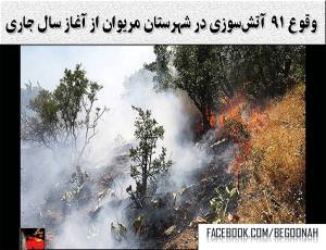 10565628_296810283835313_1643031863_o