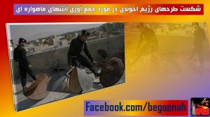 10573321_712313332137554_174275303_o