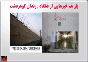 10585482_300426526807022_2091196327_o