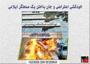 10600433_329203177239928_8063917324324829188_n