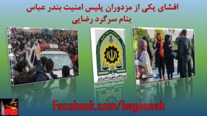 10614618_710369868998567_180742384_o