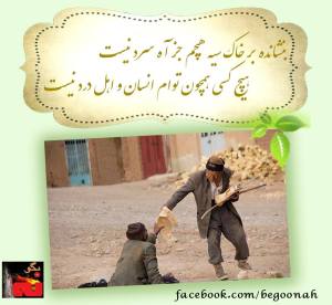 10641178_332521783574734_4266850750918680334_n