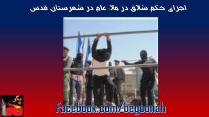 1909410_329555573871355_1595321661688038077_o