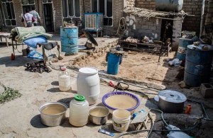 500x325x21599.jpg.pagespeed.ic.lXc50R6yEd