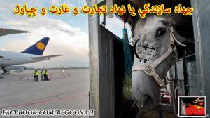 984168_327670410726538_5922663791737256085_n