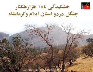 AD9009POHK,GJFZHJFBM,FUZT