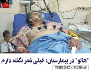 10621282_310656782450663_489720903_o