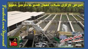 10623555_344201109073468_4914708935483666770_o