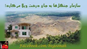 10649960_339740329519546_1059464372395910177_n