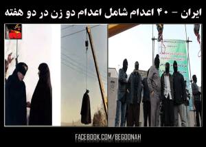 10650669_308673869315621_2126361828_o