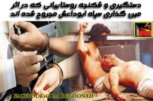 10653416_339694002857512_1065427278646448424_n