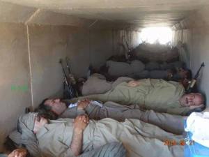 10659144_576957812427506_3477264357791911487_n