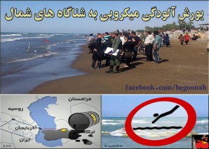 10663068_308439142672427_2039193686_o