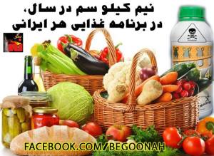 10689542_343831169110462_1035697073628209500_n