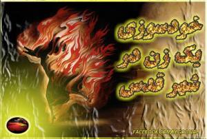 10703668_341901335970112_5897574688742606779_n