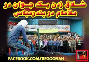 10703791_346559755504270_144087105397751273_n