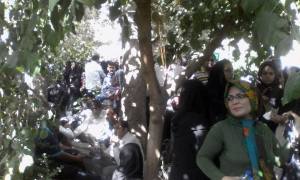 1393456_346934188800160_4782704660918634667_n