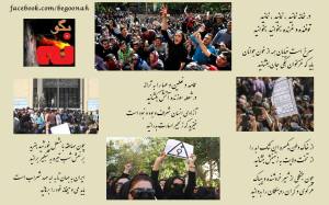 10006004_360845024075743_4332881944649772722_o