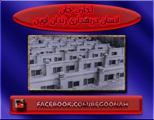 1011237_360277904132455_1258285087261158735_n