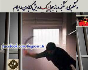 10156087_363540860472826_787706085074647726_n