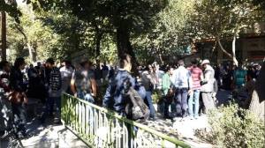 10347171_361175240709388_6375066415811731003_n