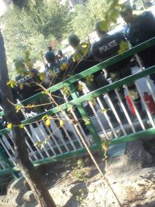 10377983_361335560693356_1627715697740659501_n