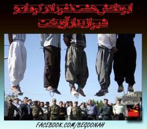 10408939_360257517467827_192987527407007718_n