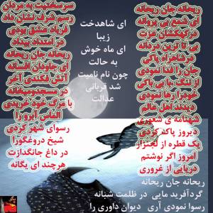 10423757_363449170481995_7450322130316453450_n