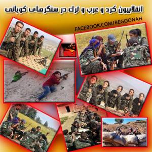 10593182_353701384790107_2034751607996313592_n