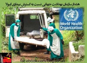 10620711_354393374720908_776686811363225011_n