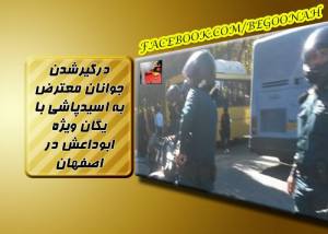 10685540_361175934042652_7281124188083095933_n