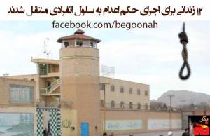 10687188_355927464567499_5828638794232285684_n