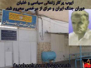 10687351_358848820942030_4584727789994868709_o